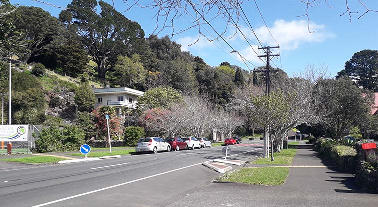 Coast to Coast Path (Grafton to Maungakiekie) – Section of path down Clive Rd.